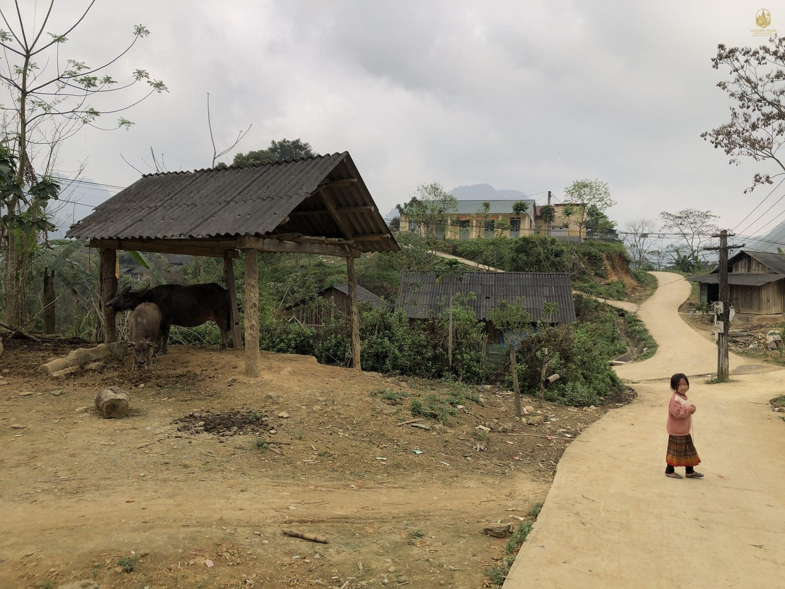 Effortless Adventure: The Definitive Guide to All-Inclusive Bike Tours in Vietnam